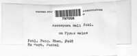 Image Associated With the Occurence